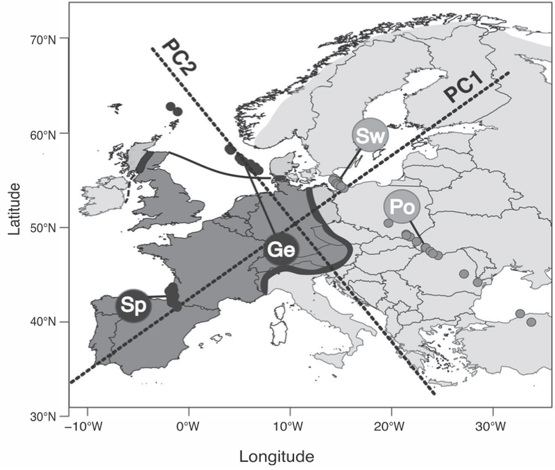 Illustration for article titled I Am So Tempted to Say that These European Crows Are Racists